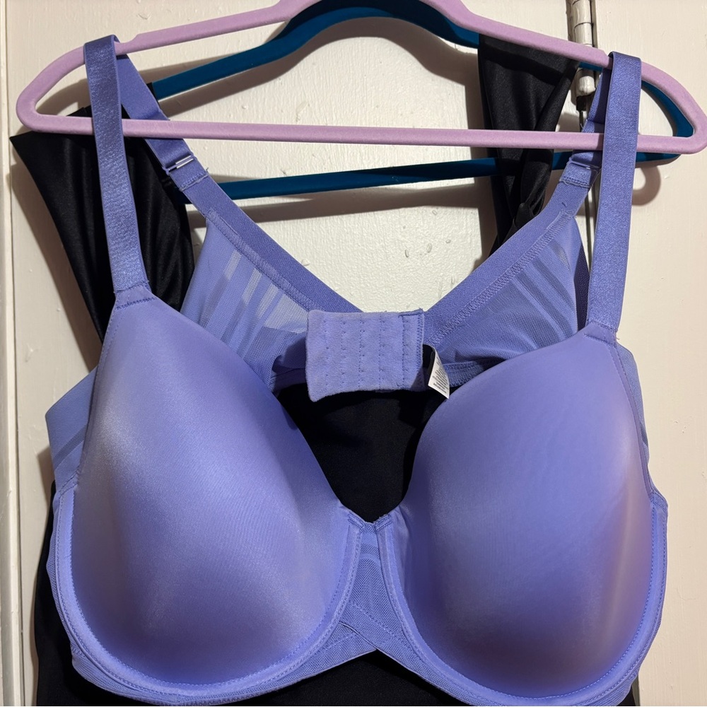 Felina Paramour Marvelous Side Smoothing T Shirt Bra  Underwire Periwinkle 42C
